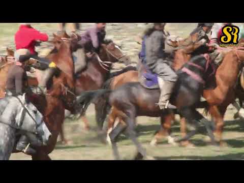 Видео: Бузкашӣ Дарғи Шариф 4k официально @все