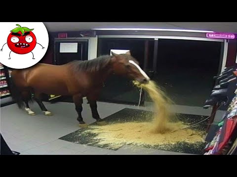 Видео: ЗАСМЕЯЛСЯ ПОДПИСАЛСЯ | Тест на Психику Челендж | ЛУЧШИЕ ПРИКОЛЫ 2024 года | УГАР #101