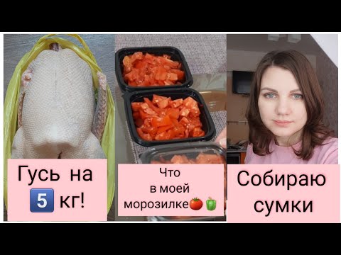 Видео: Что делать с гусем 5 кг❓мотивация на домашние дела/заглянем в морозилку