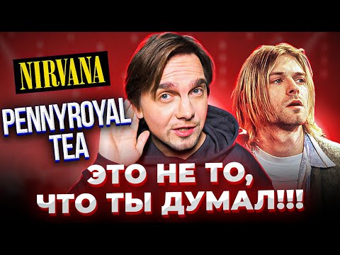 Видео: САМЫЕ ЗАГАДОЧНЫЕ ТЕКСТЫ NIRVANA. Pennyroyal Tea и другие.