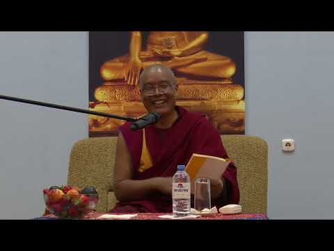 Видео: геше лхарамба Джагба Гьяцо - лекция по теме «Сознание и эмоции» (12.05.24)
