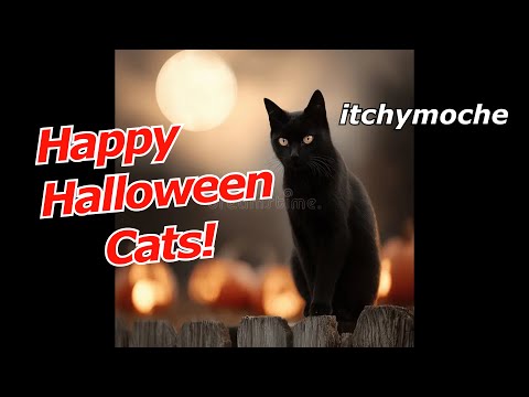 Видео: Счастливого Хэллоуина, коты!