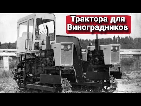 Видео: Спецтрактора для виноградников