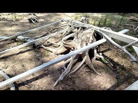 Видео: Съездили на Юмагузинское водохранилище