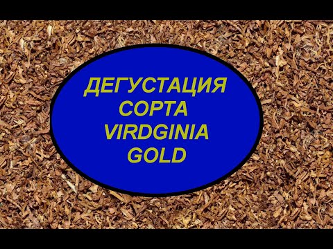 Видео: ДЕГУСТАЦИЯ VIRDGINIA GOLD + про полив + про мешки