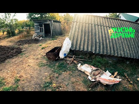 Видео: Сарайки требуют уборки 🧺