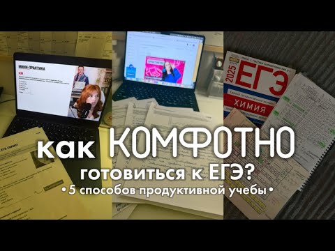 Видео: как сделать подготовку к ЕГЭ комфортной?