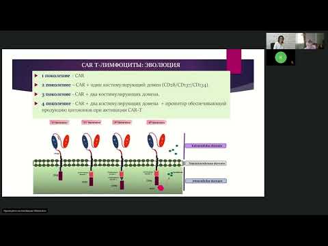 Видео: Иммуноонкология. Перспективные направления иммунотерапии (вебинар 12 октября 2023)