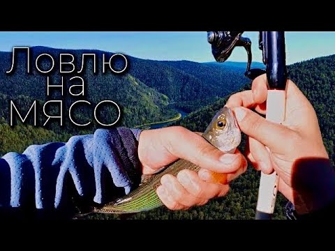 Видео: ХАРИУС ПОЙМАЛ ВСЕ! Осенняя рыбалка на мясо!