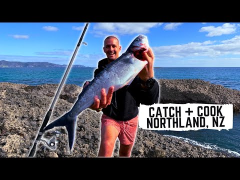 Видео: Ловля и приготовление кахавайи по-северному + поедание пирогов с пауа (морскими ушками) | Гастрон...