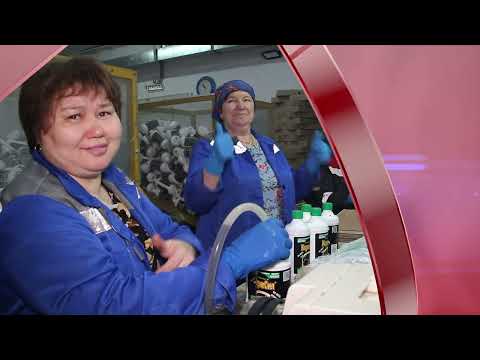 Видео: Мы оживляем – восстанавливаем землю, заводы, здоровье…