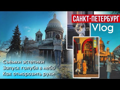 Видео: 9. Прогулка по Санкт-Петербургу! 