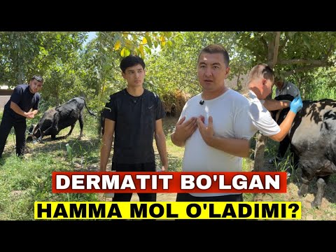 Видео: Бу Касаллик Ростан Молларни Улдирадими? 3 Кунда Мол Тузалди Негативлар Курсин!
