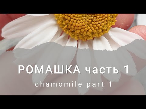 Видео: МК РОМАШКА. Часть 1. Video course - CHAMOMILE. Part 1.