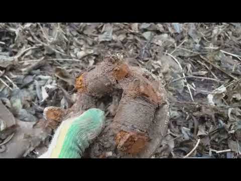 Видео: Прогулка с металлоискателем.Нашёл немного меди и алюминия.#metaldetecting #коп #медь#алюминтй