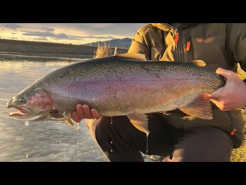 Видео: Իշխանի վերջին ձկնորսությունը Հայաստանում 2025/ Крайная рыбалка на форель в Армении 2025