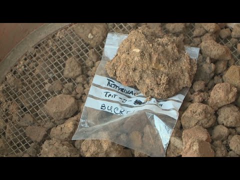Видео: Түркістан облысында үңгірден жұмбағы мол жәдігерлер табылды