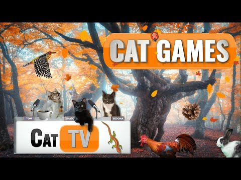 Видео: КОШАЧЬИ ИГРЫ | 🍁 Осеннее приключение – лучшая подборка кошачьих телепередач | 8 ЧАСОВ 🍂🐜🦋🦎🐞🧵🐦