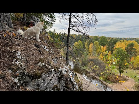 Видео: Оленьи ручьи  | Поход по парку