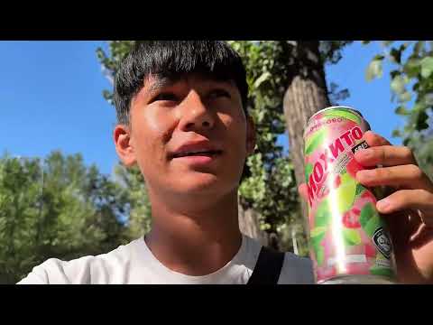 Видео: 1 день из жизни паникмена 