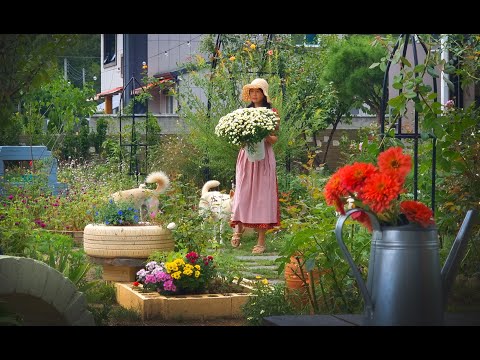 Видео: № 102. Осеннее садоводство с собакой под тёплым солнцем | Gardener Vlog