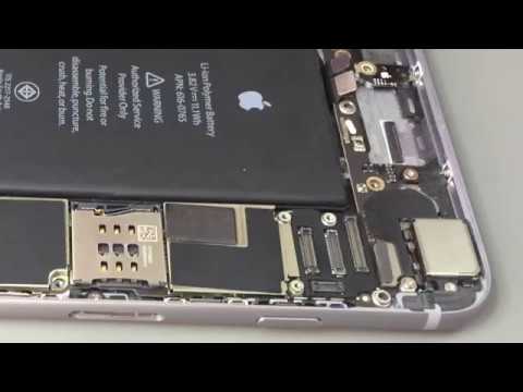 Видео: iPhone 6 Plus нестабильно работает сенсор
