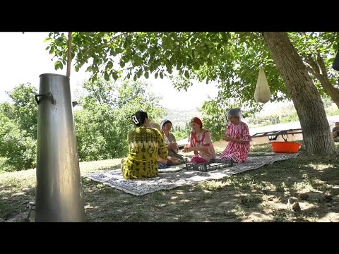 Видео: Бостандық ауданы Тоққызкөл ауылы