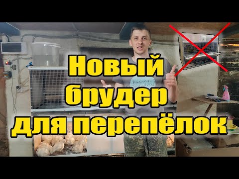 Видео: Мой новый брудер для перепелов со съемным полом!