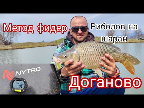 Видео: ОТКРИХМЕ СЕЗОНА на ШАРАНА! МЕТОД ФИДЕР РИБОЛОВ на ДОГАНОВО!