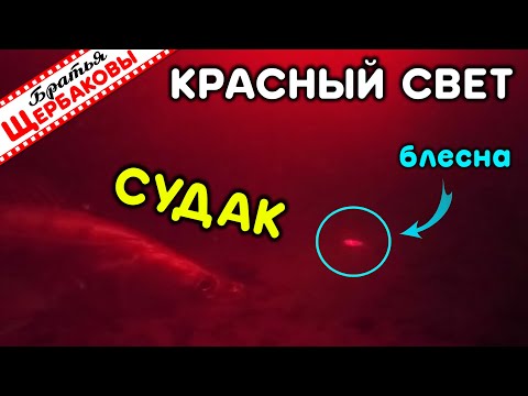 Видео: Реакция НОЧНОГО зимнего СУДАКА на  КРАСНЫЙ, белый и UV свет ФОНАРЕЙ! Бокоплав, блесна, VIB!