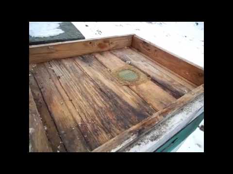 Видео: Зимовка пчел в многокорпусных ульях