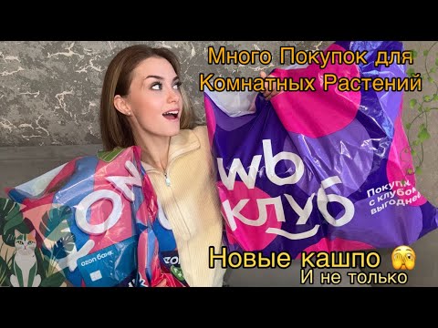 Видео: ПОКУПКИ для комнатных растений 