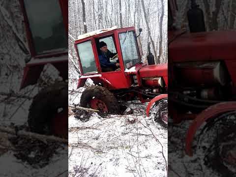 Видео: с   лебёдкой в лесу