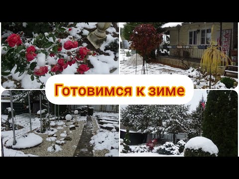 Видео: Дача.Ноябрь.Наконец мы вернулись.Куча дел. Готовим сад к зиме. Обзор и прогулка по саду.