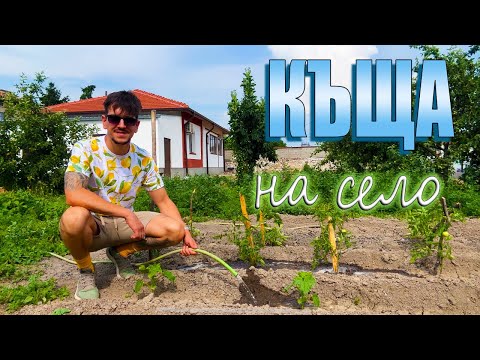 Видео: Краставици, домати и компютри - КЪЩА НА СЕЛО еп.7