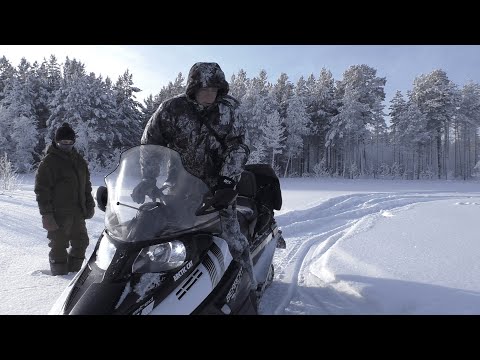 Видео: Снегоход Arctic Cat Bearcat Z1 XT по глубокому снегу