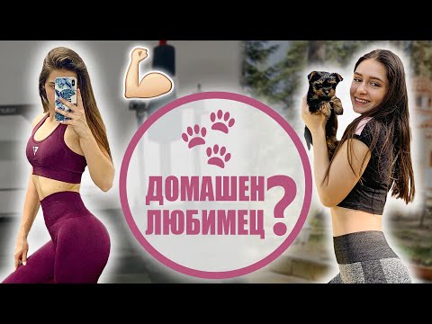 Видео: ОБРАТНО НА ФИТНЕС ❥ Кученце? | Нова колекция на Genezis