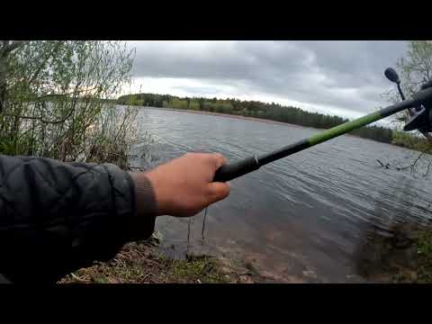 Видео: Первые попытки раскусить водоёмы Беларуси   ,  первый блин комом     № 309