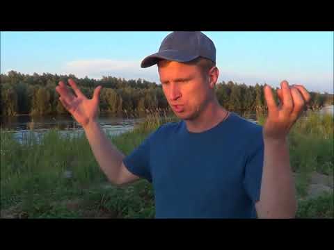 Видео: Эко37 Плановый осмотр картофеля на Биогумусе 06,08,2018