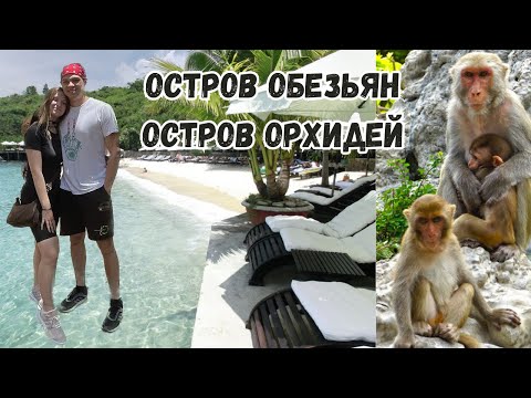 Видео: Вьетнам Нячанг 2023/ Остров обезьян/ Остров Орхидей/ Обзор, стоимость, впечатления