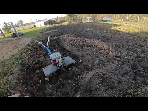 Видео: КУЛЬТИВИРУЮ ЗЕМЛЮ С ИЗВЕСТЬЮ ПЕРЕД МОРОЗАМИ...КОРЧУЮ ПЕНЬ..ЛЕБЁДКА И ХАЙДЖЕК МНЕ В ПОМОЩЬ