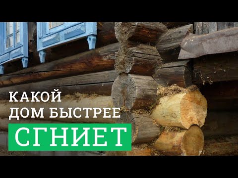 Видео: Какой деревянный дом сгниёт быстрее? Из сосны, кедра или лиственницы?