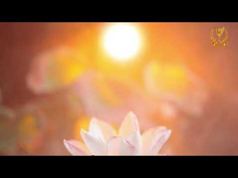 Видео: "Три Лотоса" и "Древо Жизни". Заземление и балансировка энергии