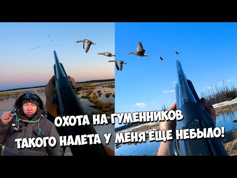 Видео: Охота на гуся в Якутии. Такого у нас еще не было!