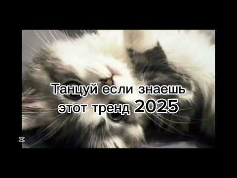 Видео: Танцуй если знаешь етот тренд 2025 года 