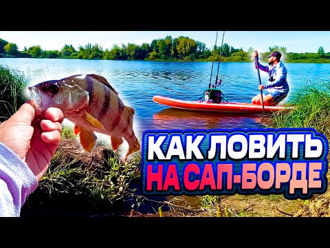 Видео: РЫБАЛКА С САП ДОСКИ! КАК ПОЙМАТЬ НА сап борде? КАК ЛОВИТЬ НА СПИННИГ С САП-БОРДА? УЧИМСЯ ПЛАВАТЬ!
