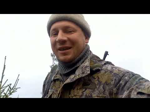 Видео: Промысел куницы. Начало промысла куницы.