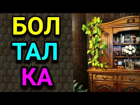 Видео: О расхламлении,  пользе уборки,  долгоносиках в крупе,  удобных банках и новом непонятном растении)