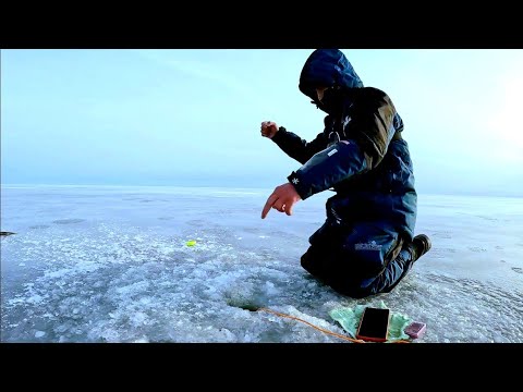 Видео: ЧУДСКОЕ ОЗЕРО!!ПРИШЁЛ НА ЗАКОРМЛЕНЫЕ ЛУНКИ И ПОШЛО.РЫБАЛКА В ФЕВРАЛЕ 2024.