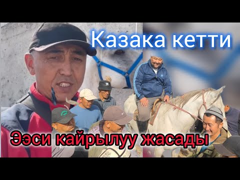 Видео: Казакка кетти